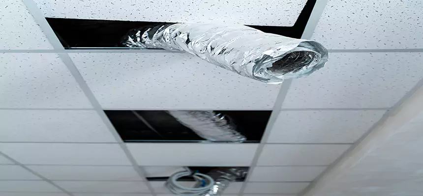 Our Air Duct Pet Hair Removal Services in Springdale, AR