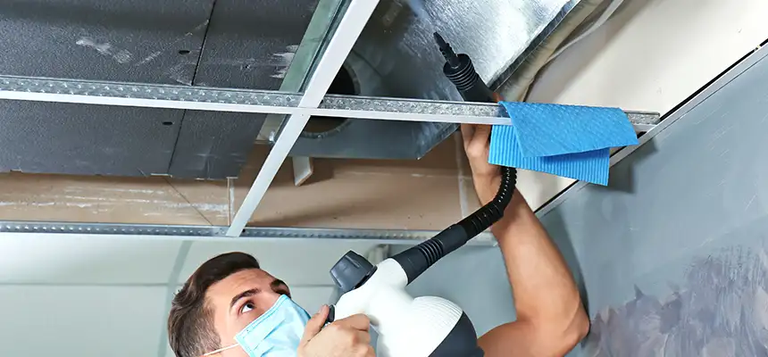 Our Air Duct Rodent Removal Services in Springdale, AR