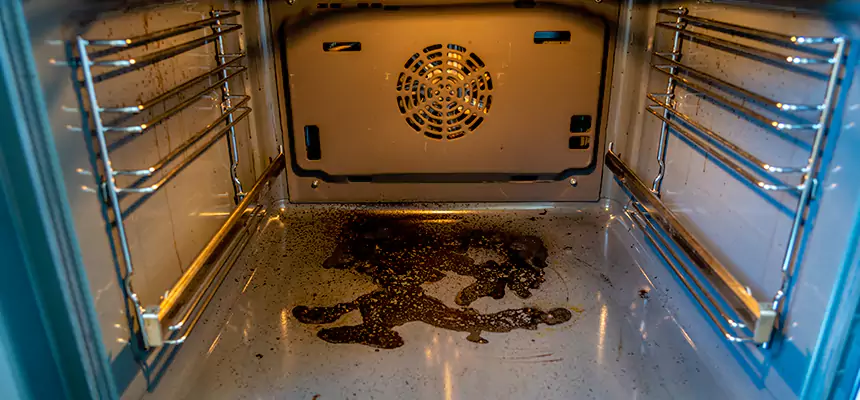 Our Dryer Vent Mold Cleaning Services in Springdale, AR