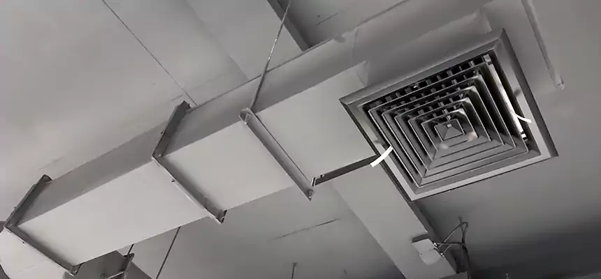 Our Pest Removal From Ducts Services in Springdale, AR