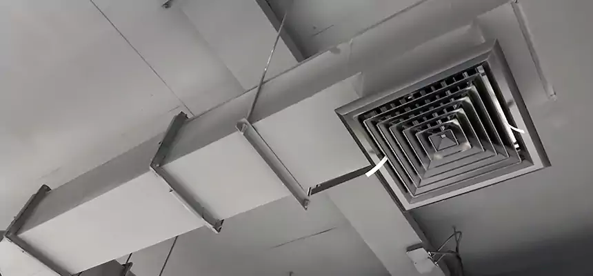 Our Rodent Droppings In Vents Services in Springdale, AR