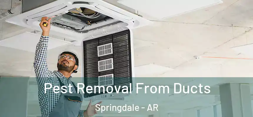  Pest Removal From Ducts Springdale - AR