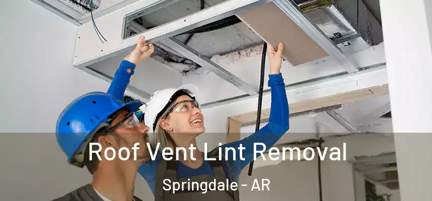  Roof Vent Lint Removal Springdale - AR