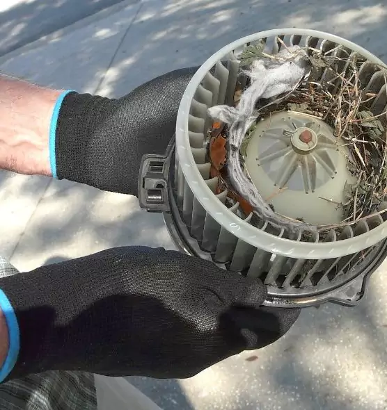 About Air Duct Rat Removal in Springdale, AR