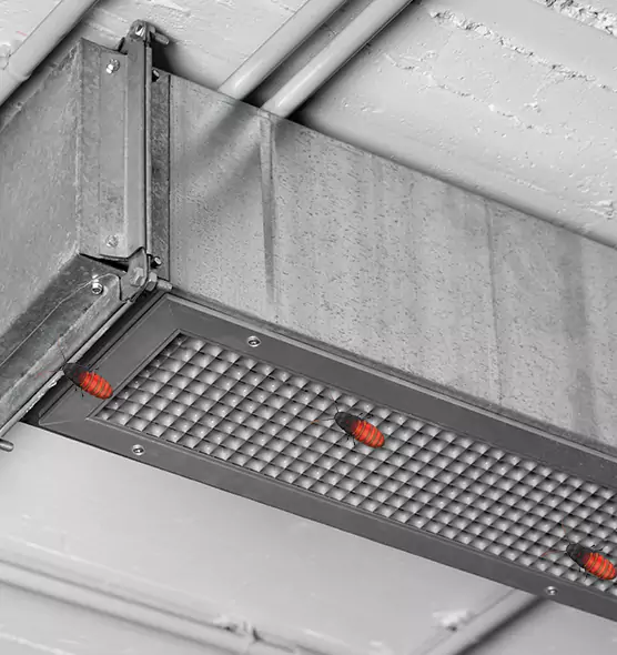 Affordable Insect Removal from Air Ducts in Springdale, AR