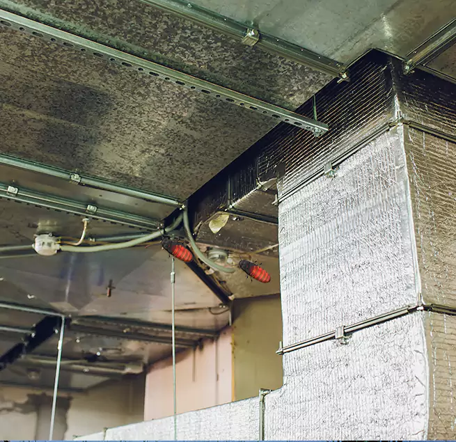 Why Homeowners & Businesses Trust Us Springdale, AR?