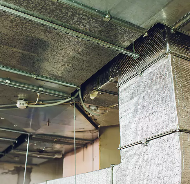 Why Homeowners & Businesses Trust Us in Springdale, AR?