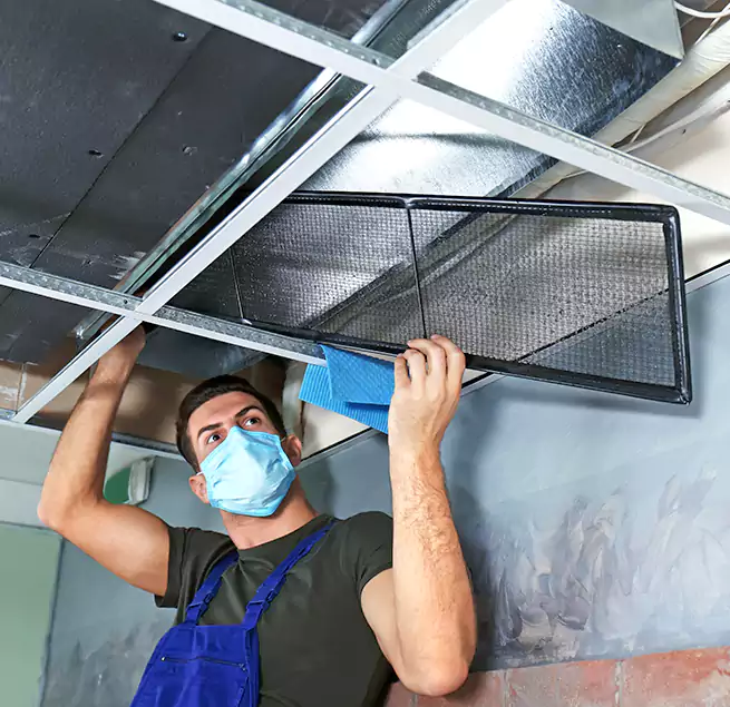 Why Homeowners Businesses Trust Us in Springdale, AR